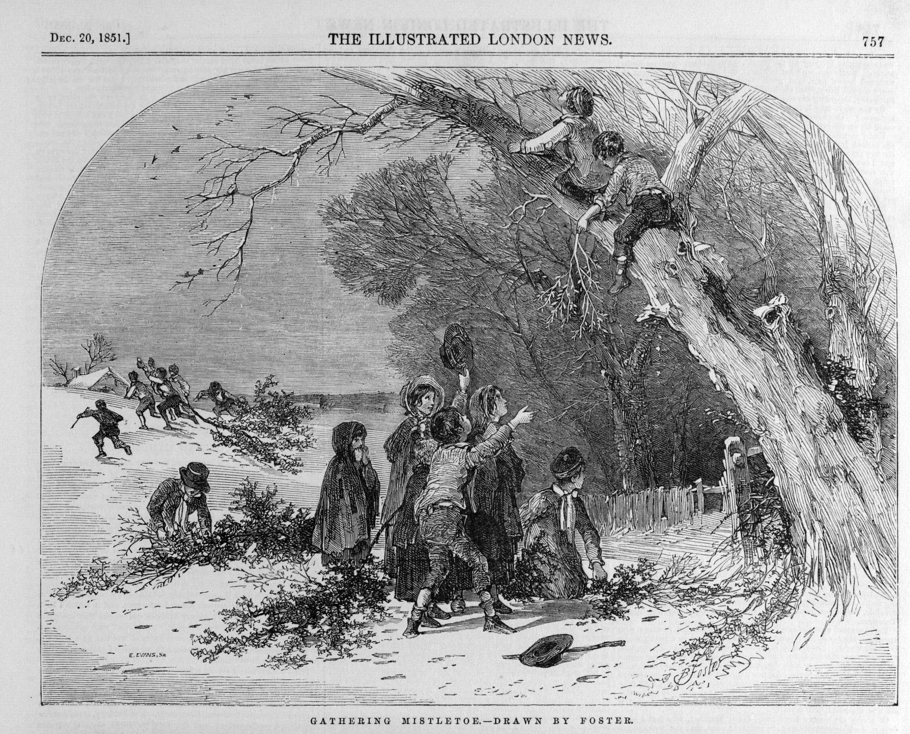 1851 gathering mistletoe xmas